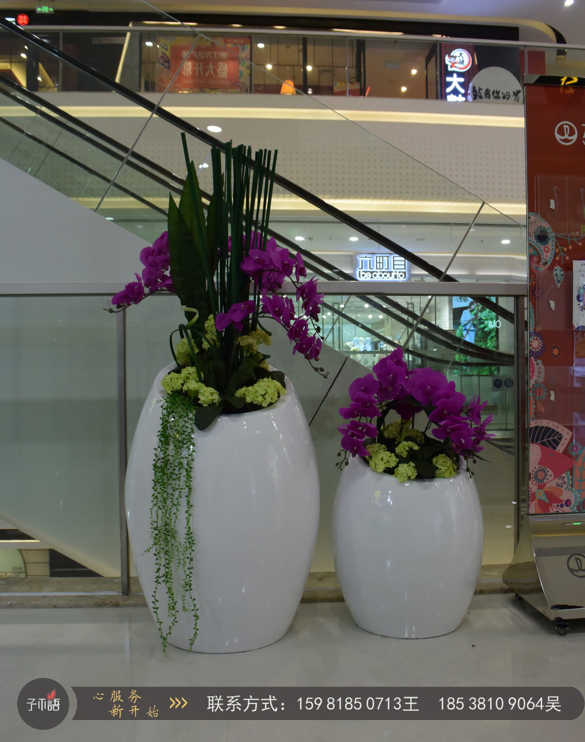 商场花缸花艺.